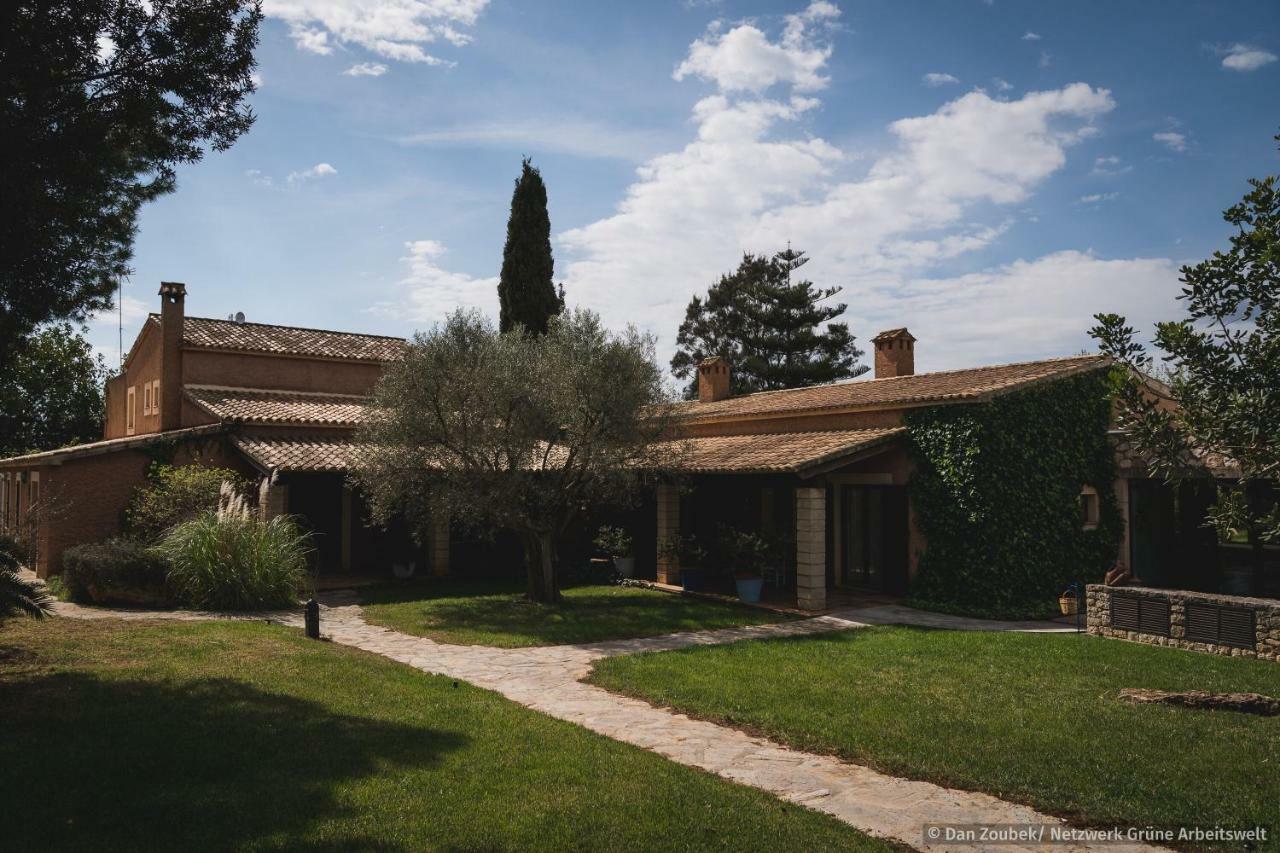 Sa Vaqueria Villa Porto Cristo Eksteriør bilde