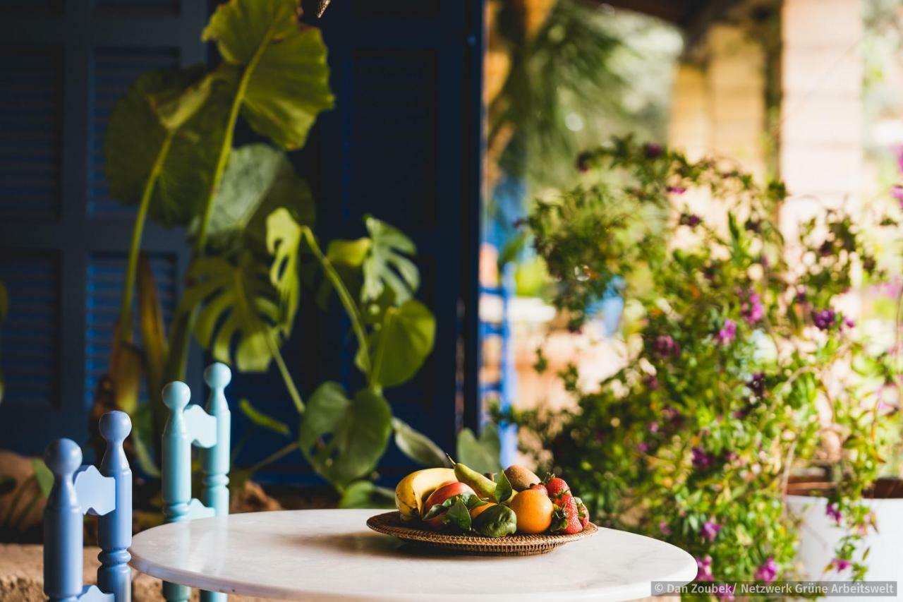 Sa Vaqueria Villa Porto Cristo Eksteriør bilde
