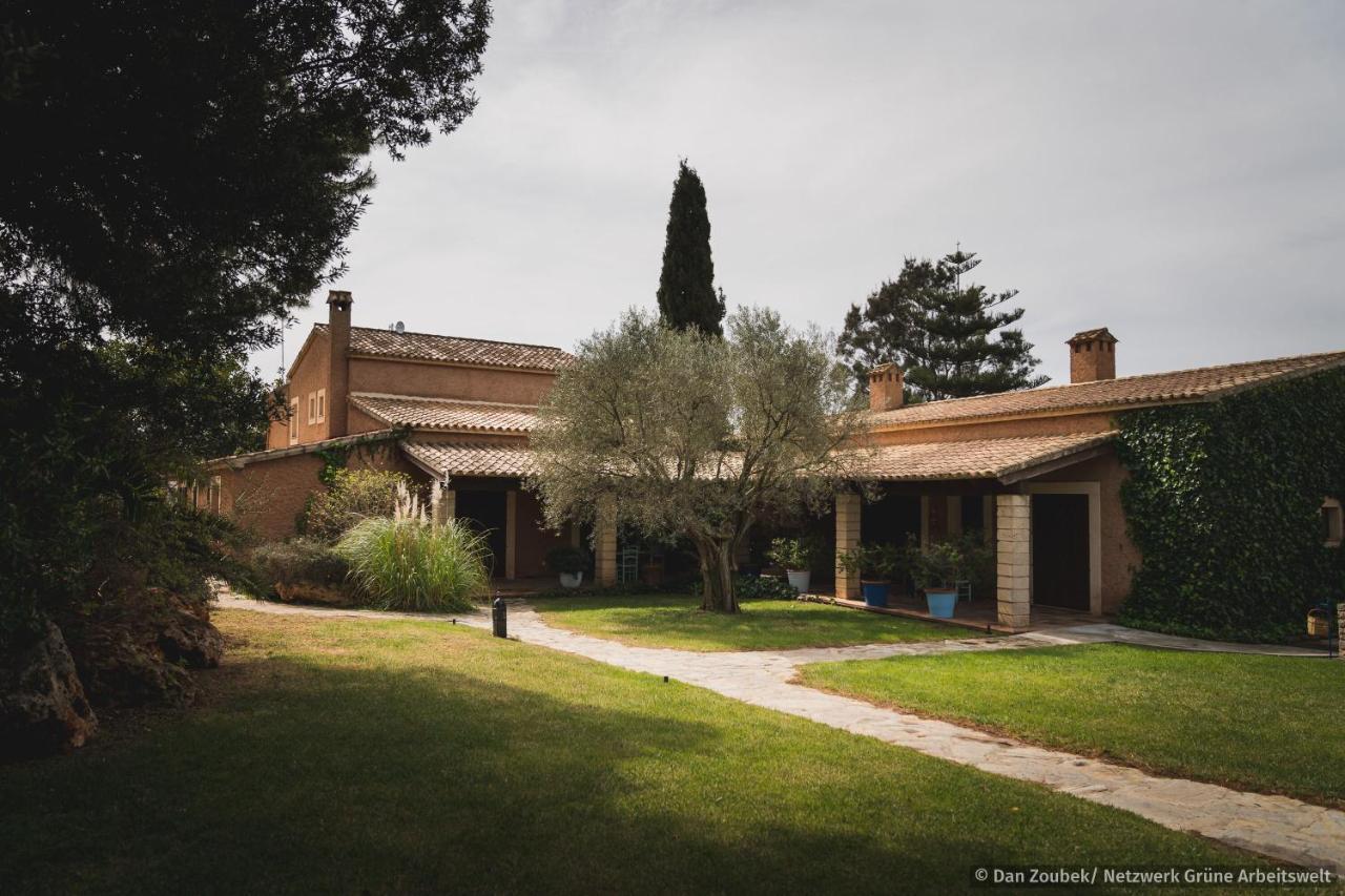 Sa Vaqueria Villa Porto Cristo Eksteriør bilde